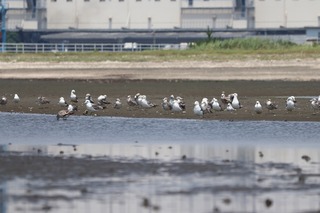 IMG_4479