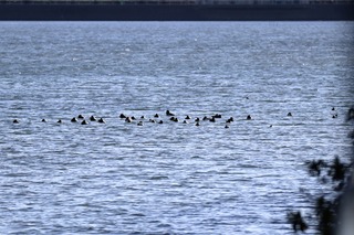 IMG_9150