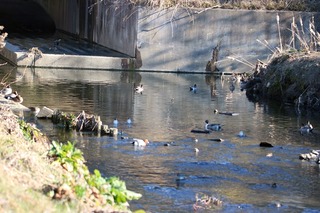IMG_5797