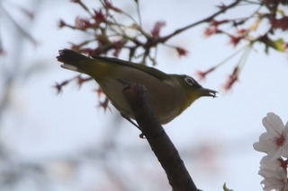 IMG_3772