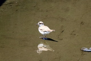 IMG_1591