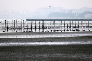 IMG_8083