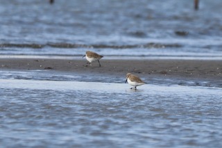 IMG_0063