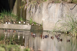 IMG_0004