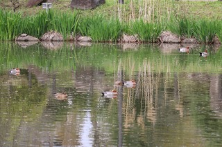 IMG_2431