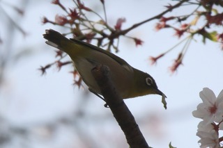 IMG_3771