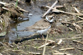 IMG_0725