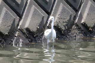 IMG_0801
