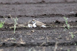IMG_8348