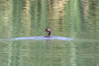 IMG_2761
