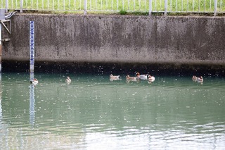 IMG_2874
