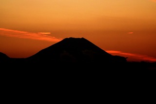 IMG_0041