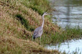 IMG_1043