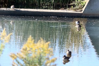 IMG_9842