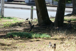 IMG_9005