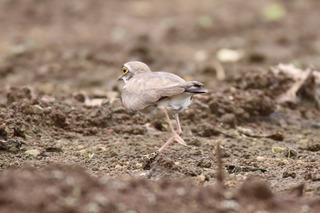 IMG_2804