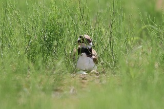 IMG_6207