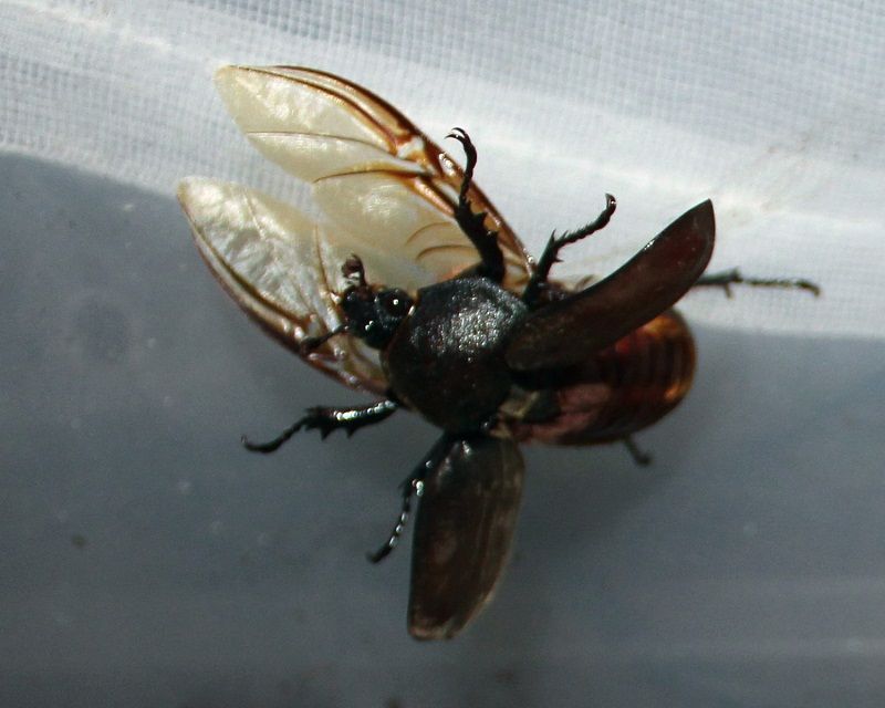 イメージ 4