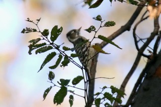 IMG_9813