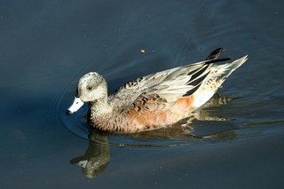 IMG_0022