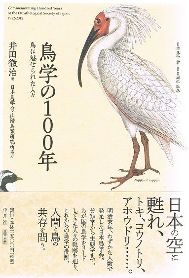 イメージ 11