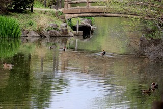 IMG_2413