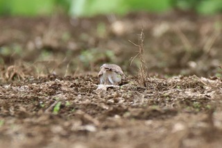IMG_2865