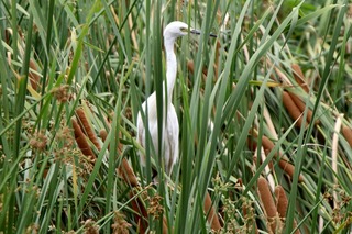 IMG_5641