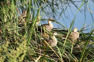 IMG_6574