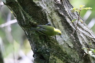 IMG_9297