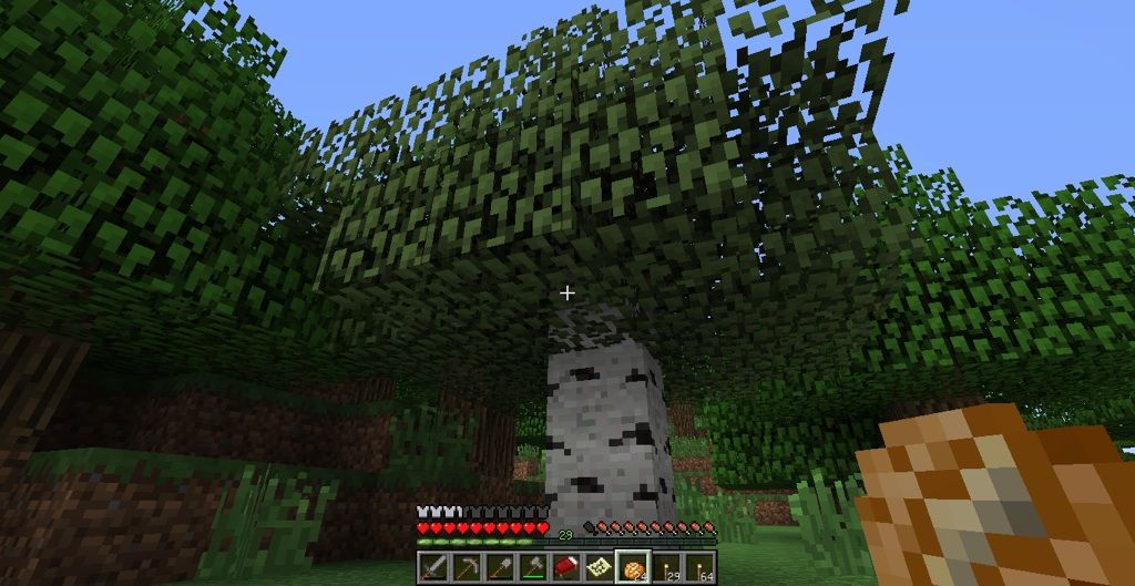 マッピング大冒険 3 村から始めるminecraft