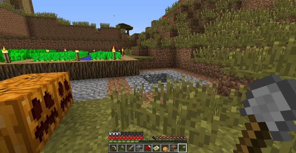 井戸を撤去 村から始めるminecraft 井戸を撤去 村から始めるminecraft