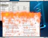 beryl-burn-2