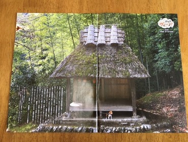thumbnail_IMG_1364
