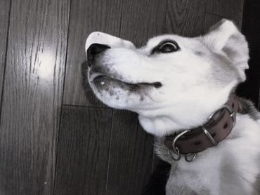 0fddda2b