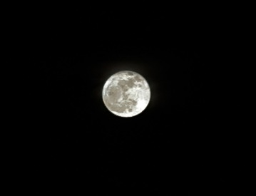 IMG_6097