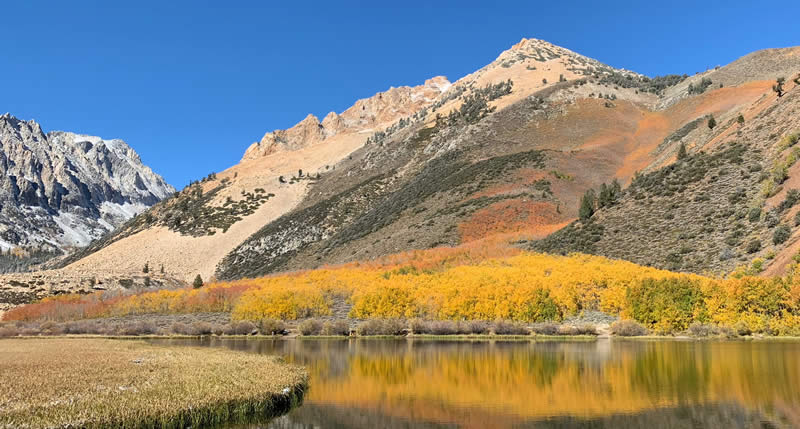 Vc社長日記 Macos High Sierra への旅