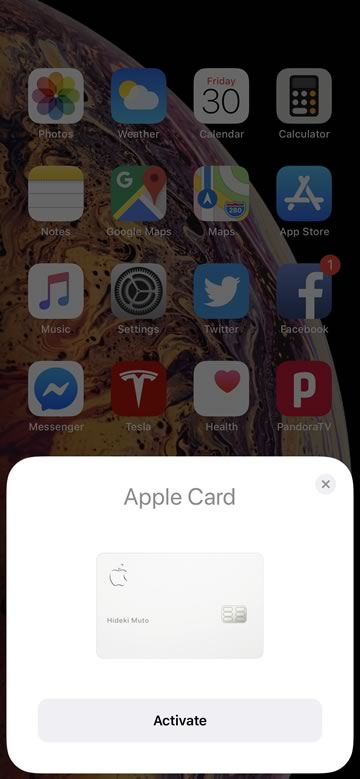 AppleCard-4