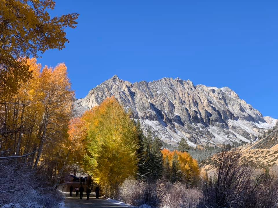 Vc社長日記 Macos High Sierra への旅