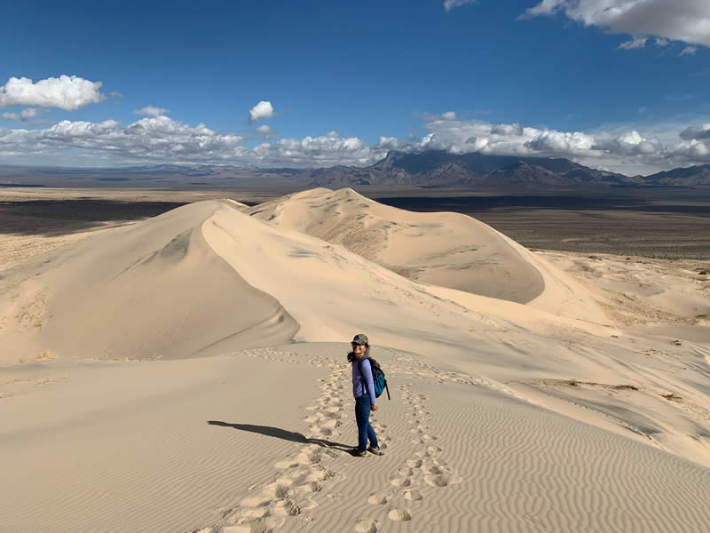 Vc社長日記 Macos Mojave への旅