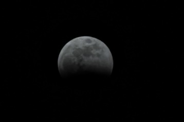 IMG_5683