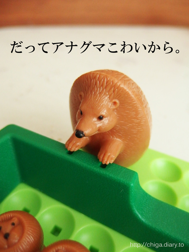 P2060098 - コピーのコピー