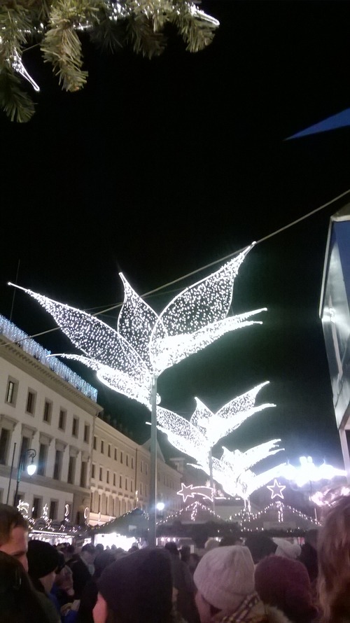 WP_20131206_006