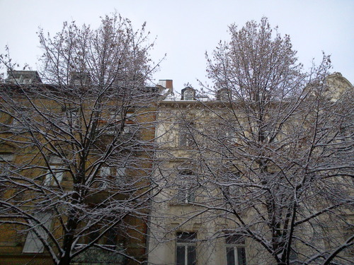 Foto0843