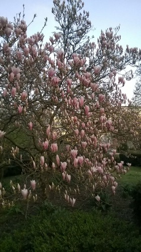 WP_20160401_005