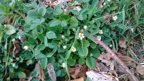 WP_20140316_012