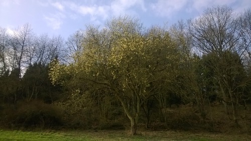 WP_20140316_013