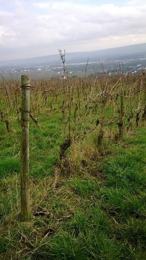 WP_20140303_003