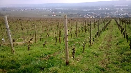 WP_20140303_004