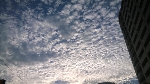 WP_20140909_001